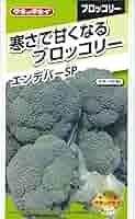 タキイ交配　ブロッコリー　エンデバーSP　ペレットL5000粒 エンデバーSP（タキイ種苗） - 株式会社丹種苗園